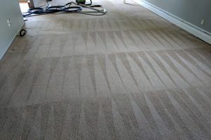 Carpet-Cleaning Services