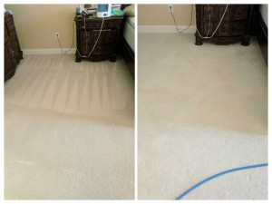 Carpet-Cleaning13