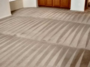 Carpet-Cleaning2