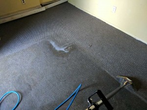 Carpet-Cleaning7